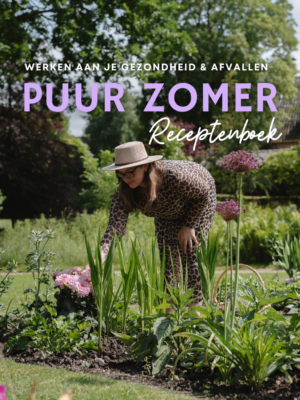 ebook3 zomer 2025 Puur Afvallen Zomer receptenboek