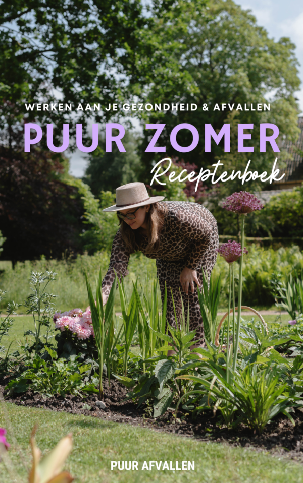 Puur Afvallen Zomer receptenboek